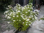 DSCN1090.JPG