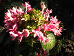 DSCN1119.JPG