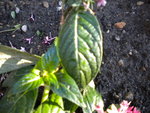 DSCN1120.JPG
