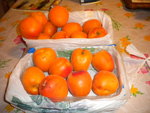 DSCN1102.JPG