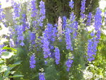 DSCN1106.JPG