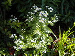 DSCN1114.JPG