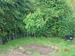DSC03542.JPG