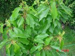DSC03543.JPG