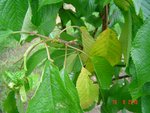 DSC03546.JPG