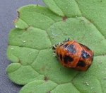 DSCF3290.jpg