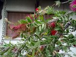21062010142.jpg