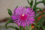 DSC_3773.JPG