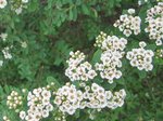 IMG_0680.JPG