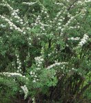 IMG_0679.JPG