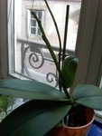 IMG00193-20100622-1822.jpg