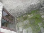 Vue de notre chambre, avec sur la gauche la porte vitrée qui donne sur le couloir d'entrée de l'immeuble.