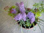 DSCN0895.JPG