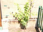 Dscf1794.jpg
