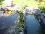bassin 26 06 10 010 compressee.jpg