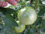 DSCN1142.JPG