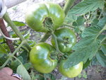 DSCN1143.JPG