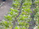 DSCN1147.JPG