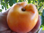 DSCN1135.JPG