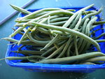 DSCN1137.JPG