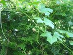 dsc09893-2.jpg