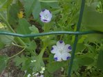 26062010076AA.jpg