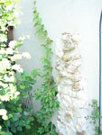 DSC00605.JPG