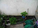 IMG_0212.jpg