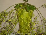 dsc09916-2.jpg