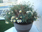 DSCF4367.JPG