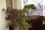 P1000737.JPG