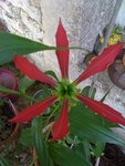 IMG_0759.JPG