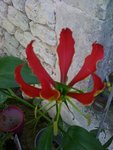 IMG_0762.JPG