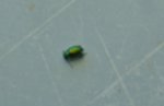 DSC02802.jpg