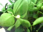 DSC00362.JPG