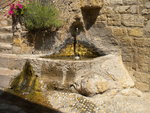 DSCN1154.JPG