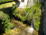 DSCN1156.JPG