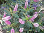 DSCN1174.JPG