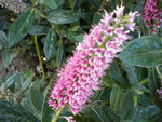 DSCN1175.JPG