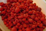 récolte de framboises.jpg