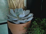 100706_112442.jpg