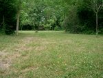 Herbe-1.JPG
