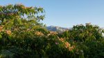 DSC00786 - Copie.JPG