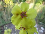 IMG_0002_2.jpg