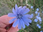 IMG_0257.jpg
