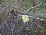 IMG_0002.jpg