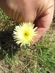 IMG_0018.jpg