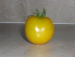 ola polka 24 grs 80710.JPG