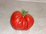 80710 cdb1 (1).JPG