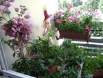 16-07-10.jpg
